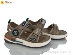 купить Clibee ZC2321-3 brown оптом