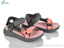 купить BBT L851-3-5 оптом