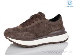 купить оптом Violeta D3873-6 brown