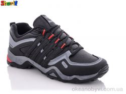 купить Sharif 993013-3 оптом