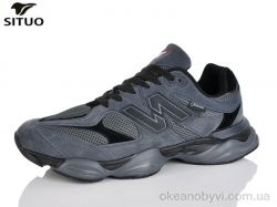 купить Situo D160-2 оптом