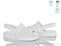 купить Ailinda 1309-82 оптом