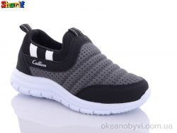 купить Sharif CCC1006-1 оптом