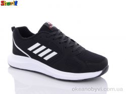 купить Sharif 4157-5 (45-47) оптом