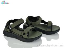 купить BBT L851-3-11 оптом