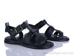 купить Loretta H105-1 оптом