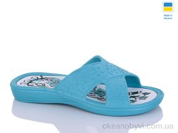 купить Progress Роксол Ж750 бірюзовий оптом