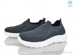 купить Мир 4319-M29-2 оптом