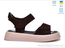 купить A.N.I.One 4070-59 корич.з. оптом