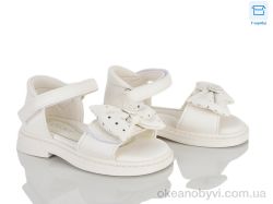 купить Clibee-ShoSho ZA167-2 оптом
