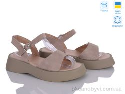 купить Ailinda 2352-35 оптом