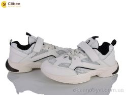 купить Clibee M86-1 black оптом