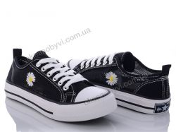 купить Class Shoes 709 black оптом