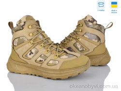 купить Paolla 2705 беж оптом