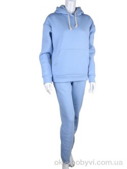 купить Ledi-Sharm 3002 l.blue оптом