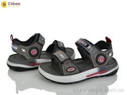купить Clibee ZC2321-2 grey оптом